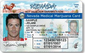 Nevada Marijuana Card