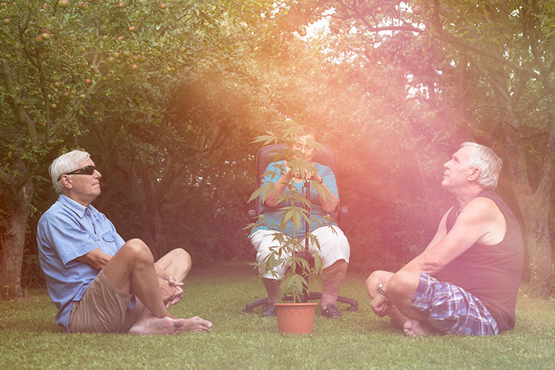 Medical Marijuana for Senior Citizens