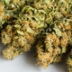 marijuana and depression