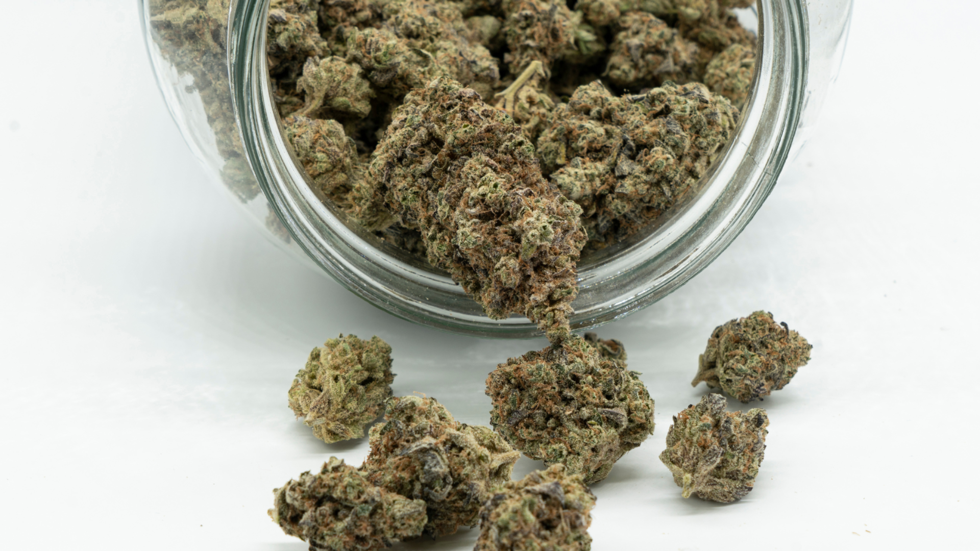 does marijuana have an expiration date 