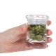 Hand holding a small glass jar of cannabis flower