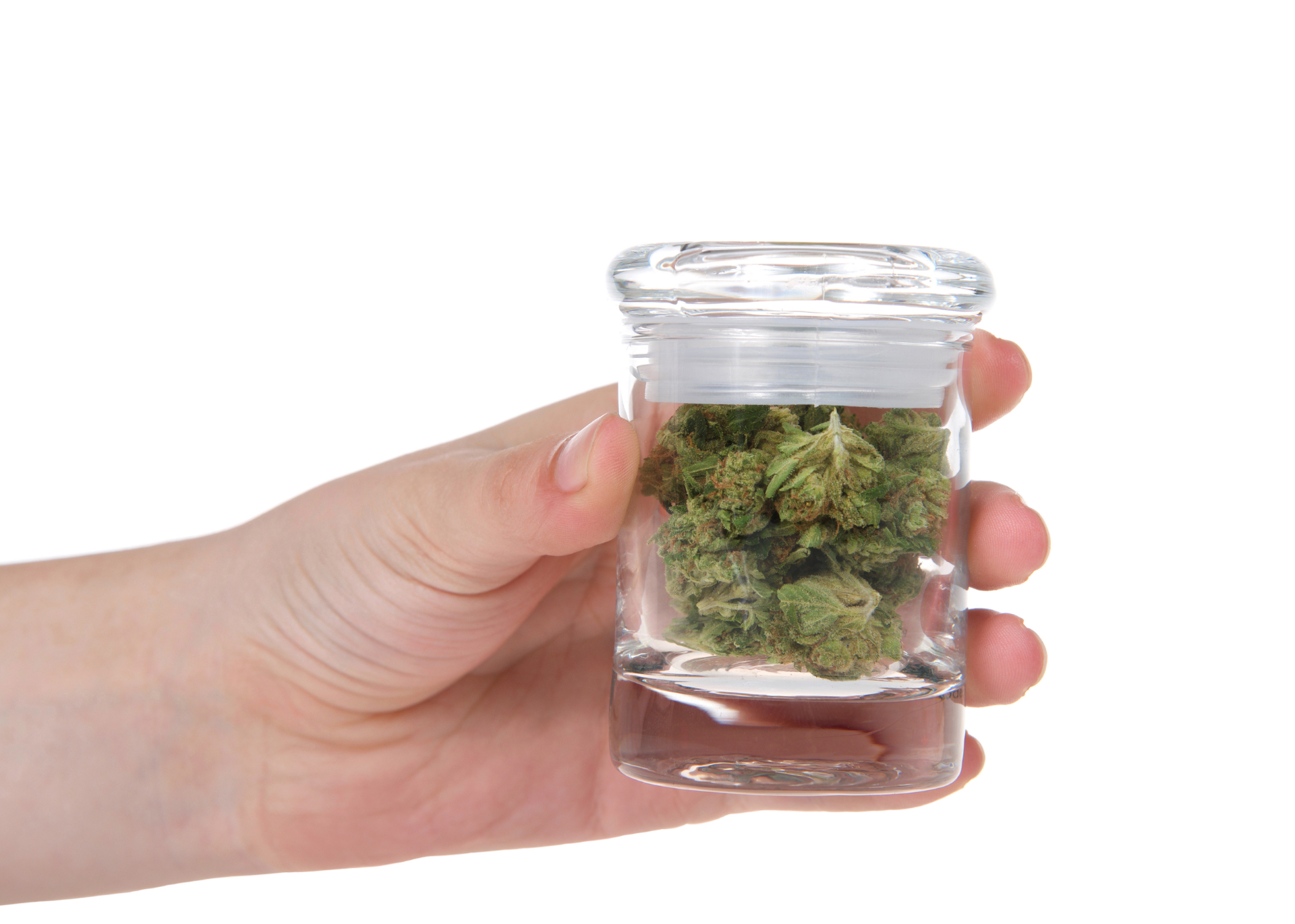 Does Marijuana Expire