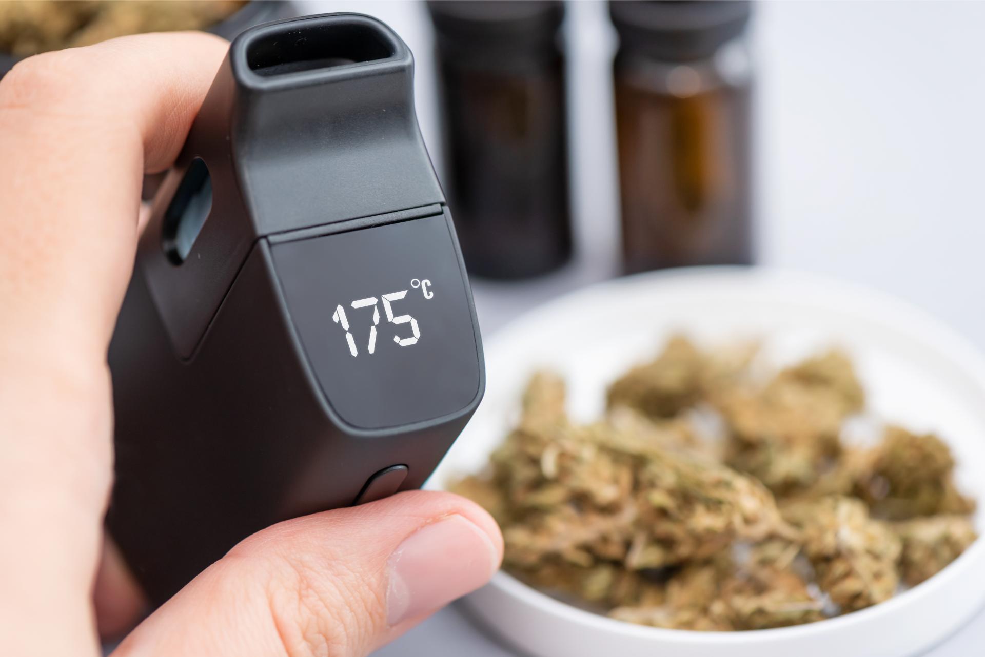 cannabis events florida