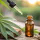 Dropper above a small amber bottle of cannabis oil beside a hemp leaf
