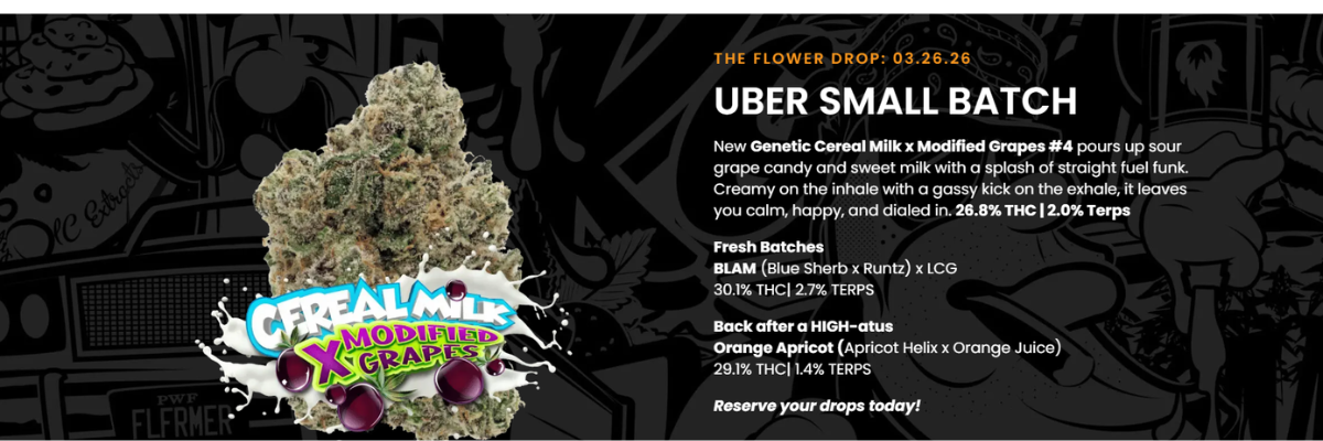 Florida Medical Marijuana dispensaries, Jungle Boys image 