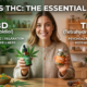 CBD vs THC: What's the Difference